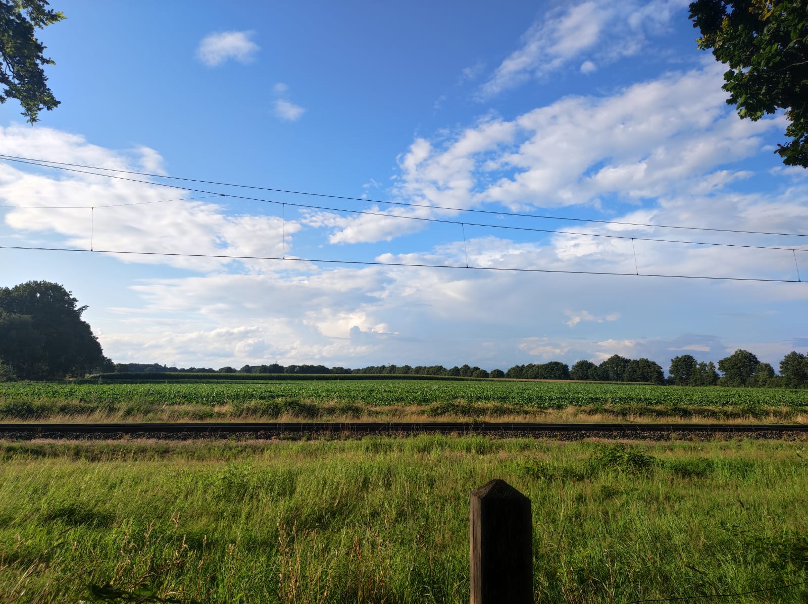 The Dutch Lowlands